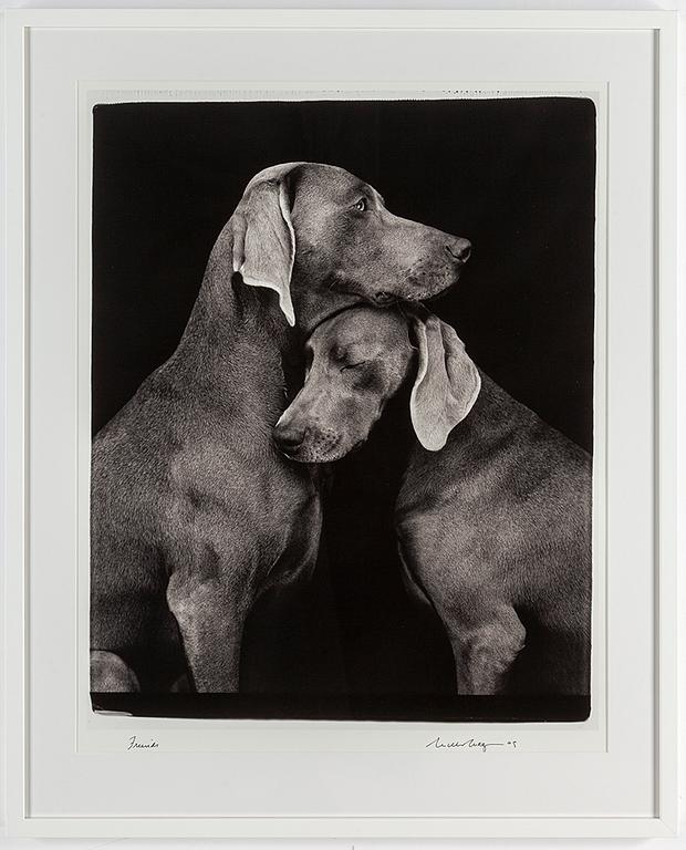 WILLIAM WEGMAN, fotografi, signerat och daterat -09.