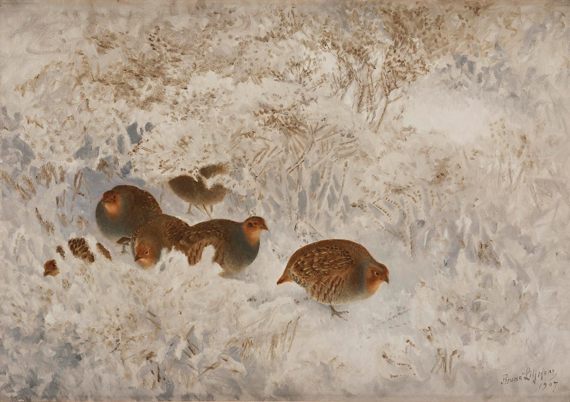 Bruno Liljefors, Grouse in snow.