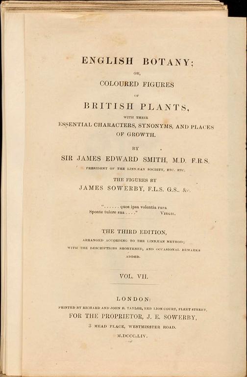 UR "ENGLISH BOTANY" 3:e upplagan, vol VII, 1854 172 st handkolorerade kopparstick. London.