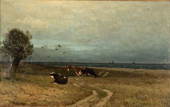 Anders Kallenberg, Resting Cows.