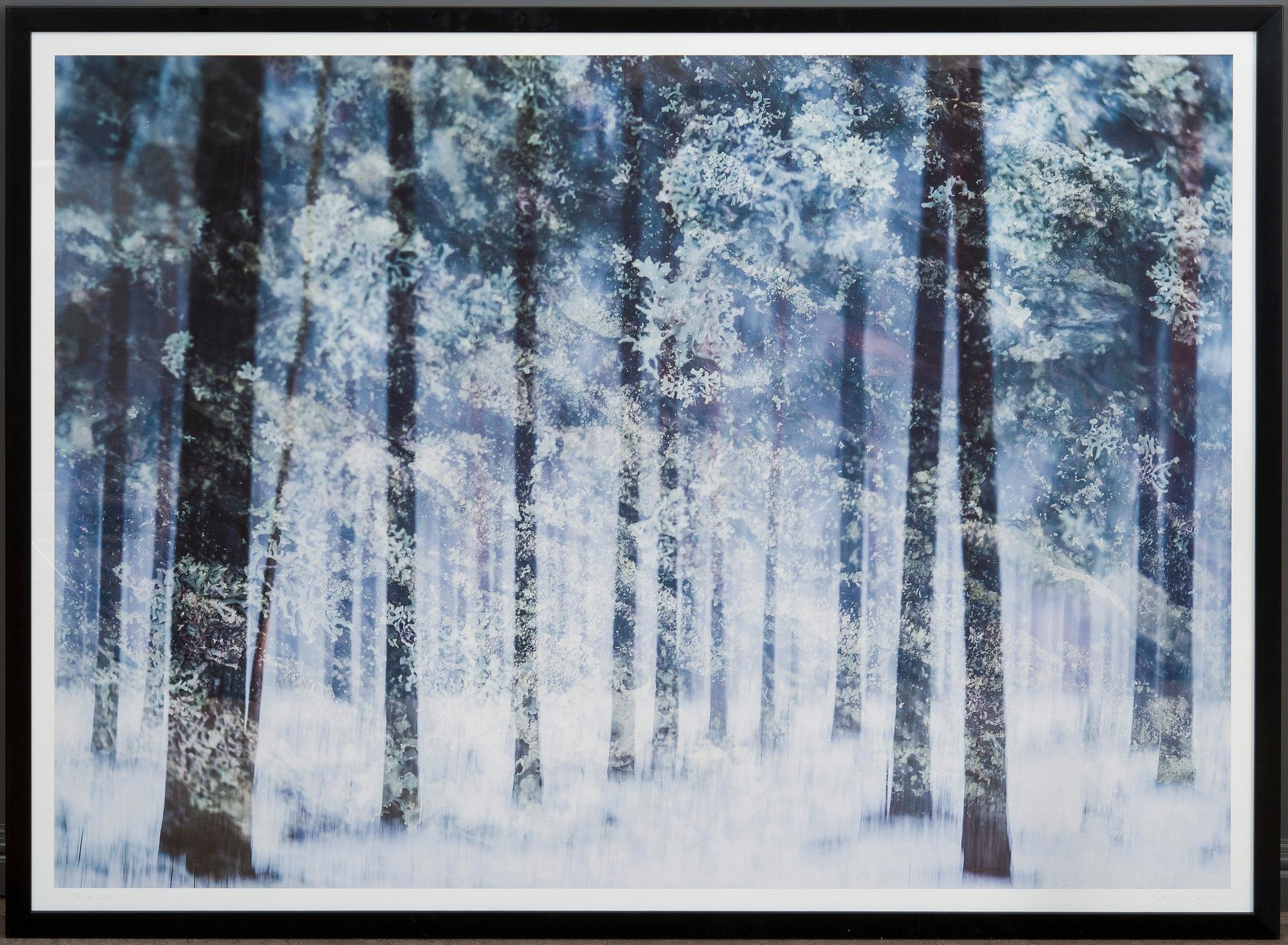 Christoffer Relander, "WINTER VEGETATION".