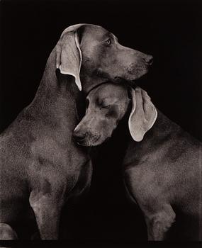 William Wegman, "Friends".