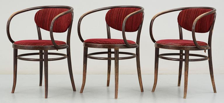 STOLAR, 3 st, Thonet, 1900-tal.