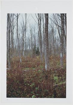 ANDREAS ERIKSSON, portfolio. Signed AE inside the box and numbered 18/250.