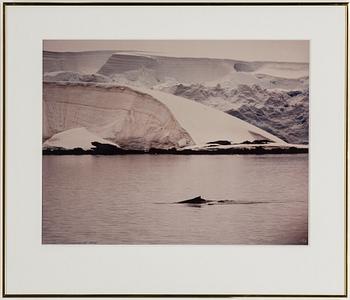 SVEN GILLSÄTER, fotografier, tre stycken. Signerade och daterade.