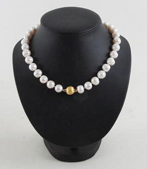 COLLIER, sötvattenpärlor.