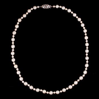 PÄRLCOLLIER, silverlås. 1900-talets slut.