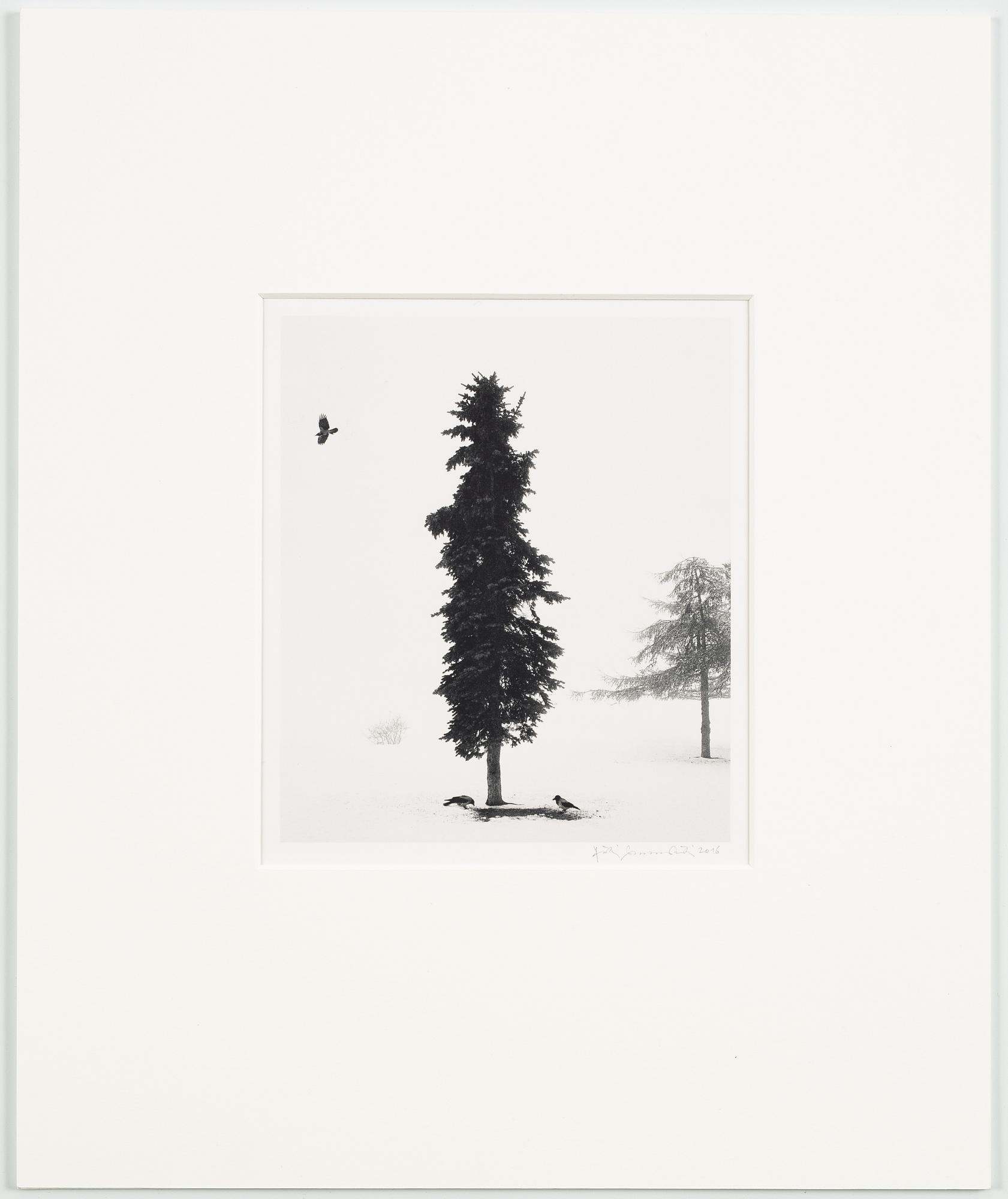 Pentti Sammallahti, Finland Helsinki 2016.