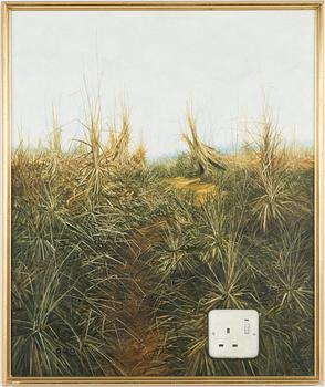 John Ridgewell, "Socket".