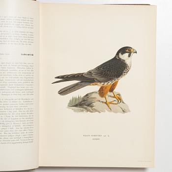 Bröderna von Wright, bokverk, 3 band, "Svenska fåglar", A. Börtzells tryckeri AB, Stockholm, 1927-1929.