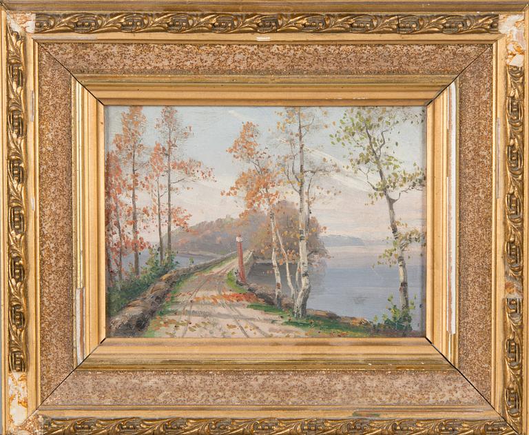 Ellen Favorin, View from Punkaharju.