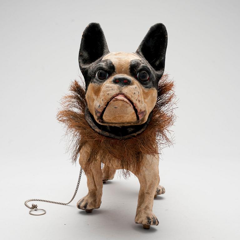 FRANSK BULLDOG.