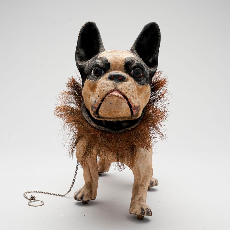 A FRENCH BULLDOG.