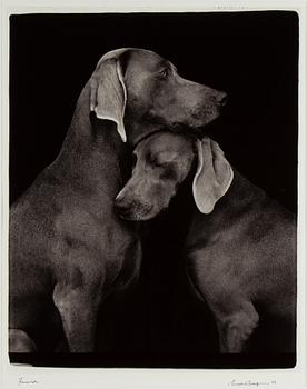 William Wegman, photograph, signed and dated -05.