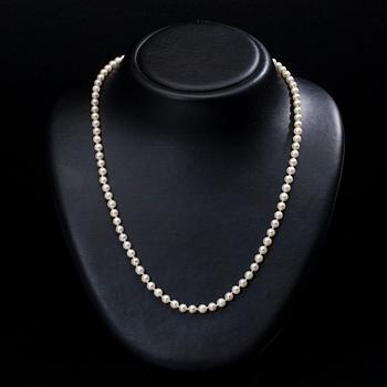 PÄRLHALSBAND, odlade pärlor, silverlås 1900-talets slut.