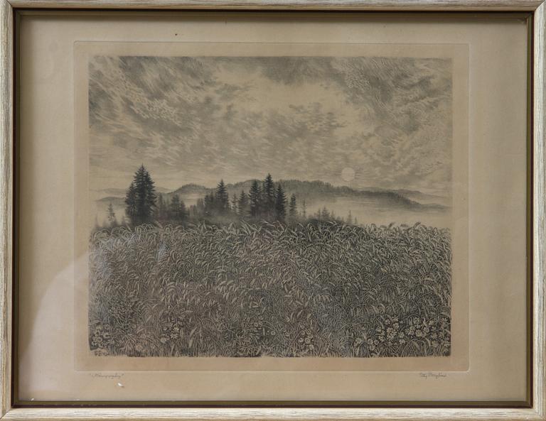 STIG BORGLIND, etsning, sign o dat -42.