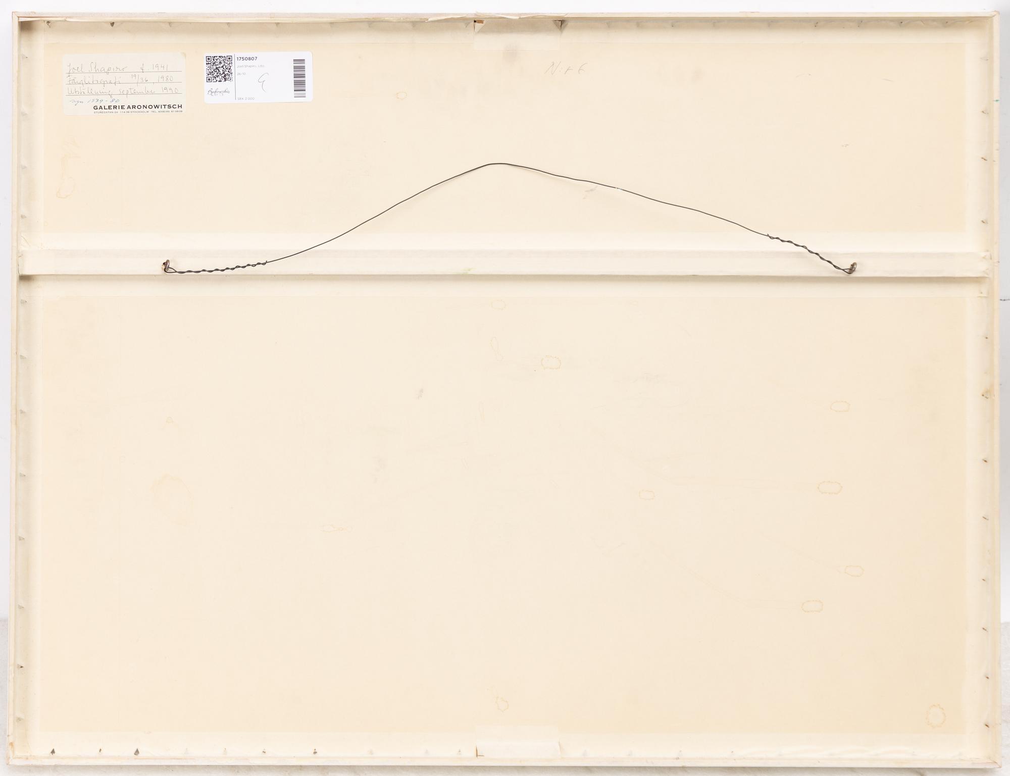 Joel Shapiro, Untitled.