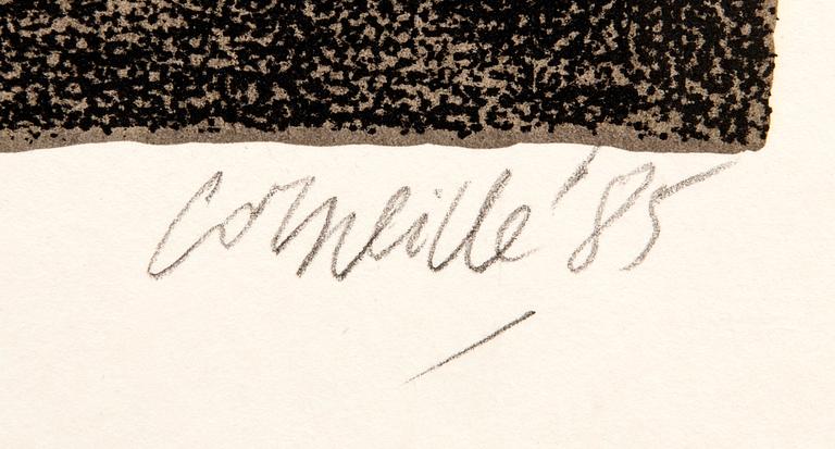 Beverloo Corneille, Birds.