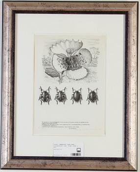 PEHRSON, KARL-AXEL. Litografier, 3st. Sign, numr o dat.