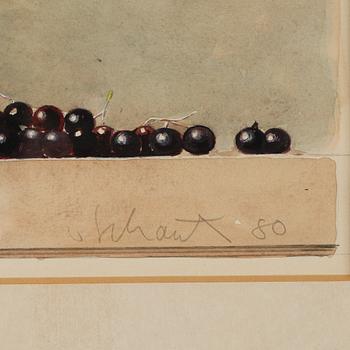 PHILIP VON SCHANTZ, akvarell, signerad och daterad -80.