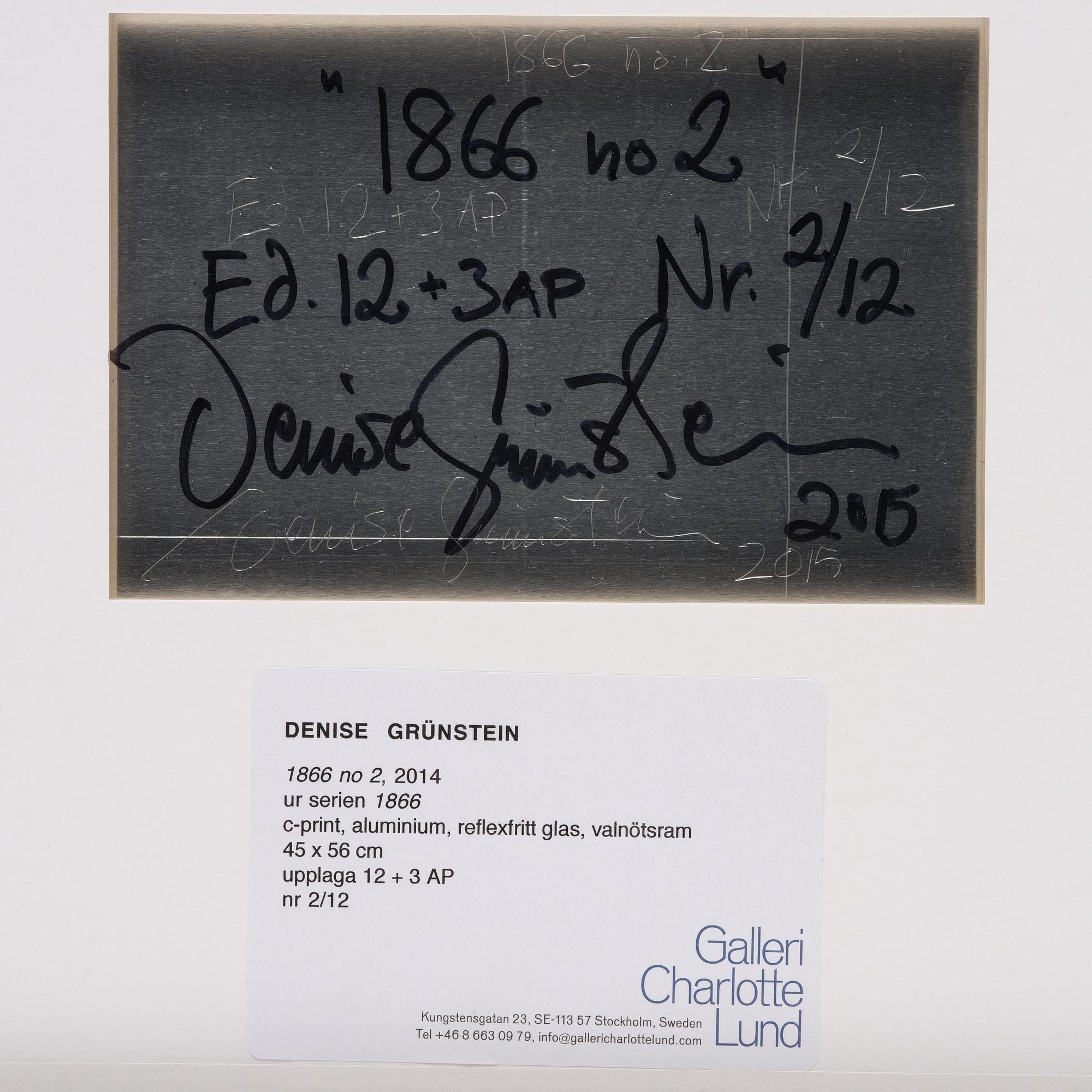 Denise Grünstein, "1886 no 2", 2015.