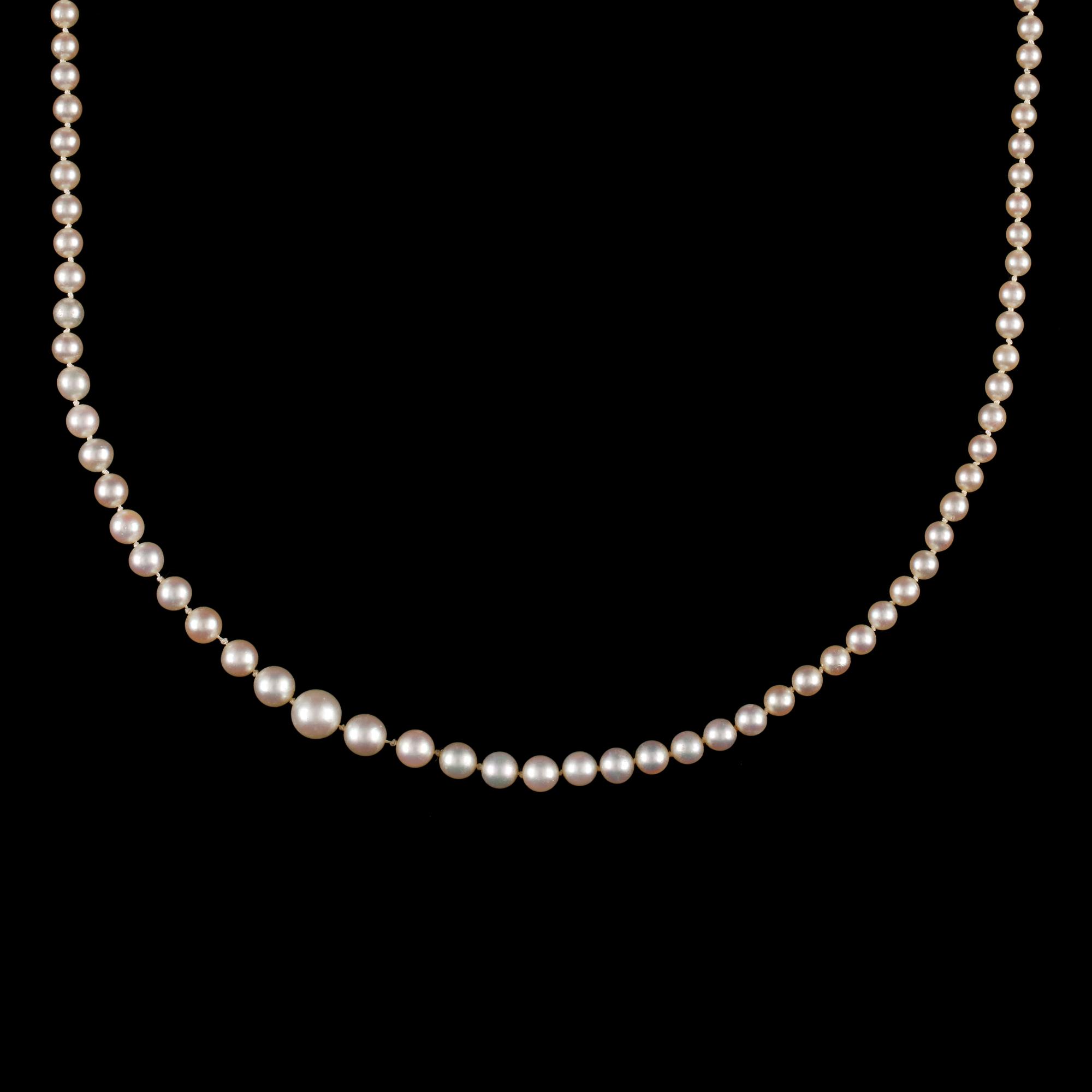 COLLIER, odlade saltvattenspärlor, lås silver med  pastestenar.