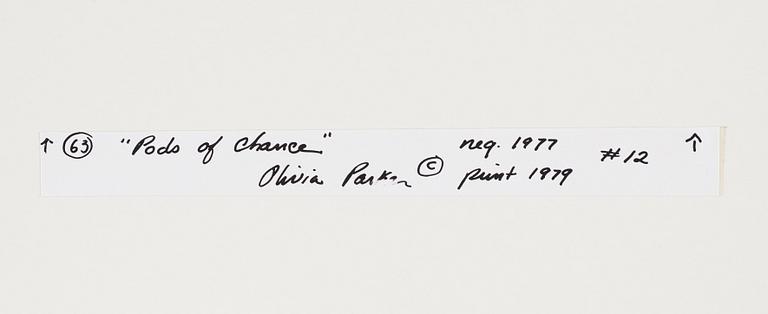 Olivia Parker, photograph signed on verso.