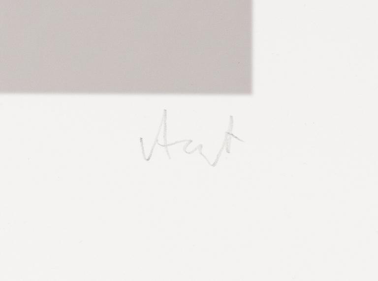 Ralf Arzt, "Draped in Sand".