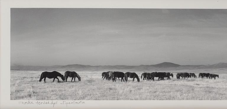 Pentti Sammallahti, "Siperiasta, 1997".