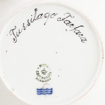 15 pieces of "Flora Danica (Hausmålerai) porcelain, Royal Copenhagen, Denmark.