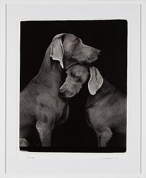 WILLIAM WEGMAN, a signed photograph, dated -09.