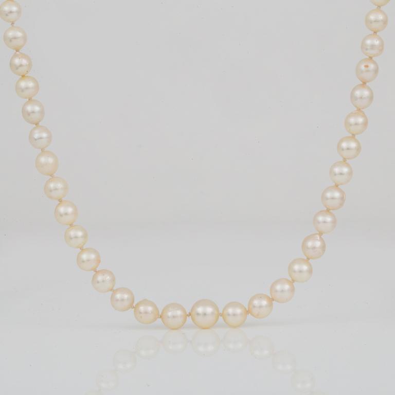 COLLIER, med odlade pärlor och lås i silver.