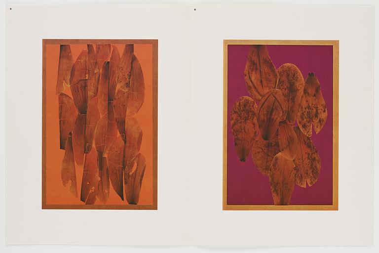 Josef Albers, "Interaction of color".