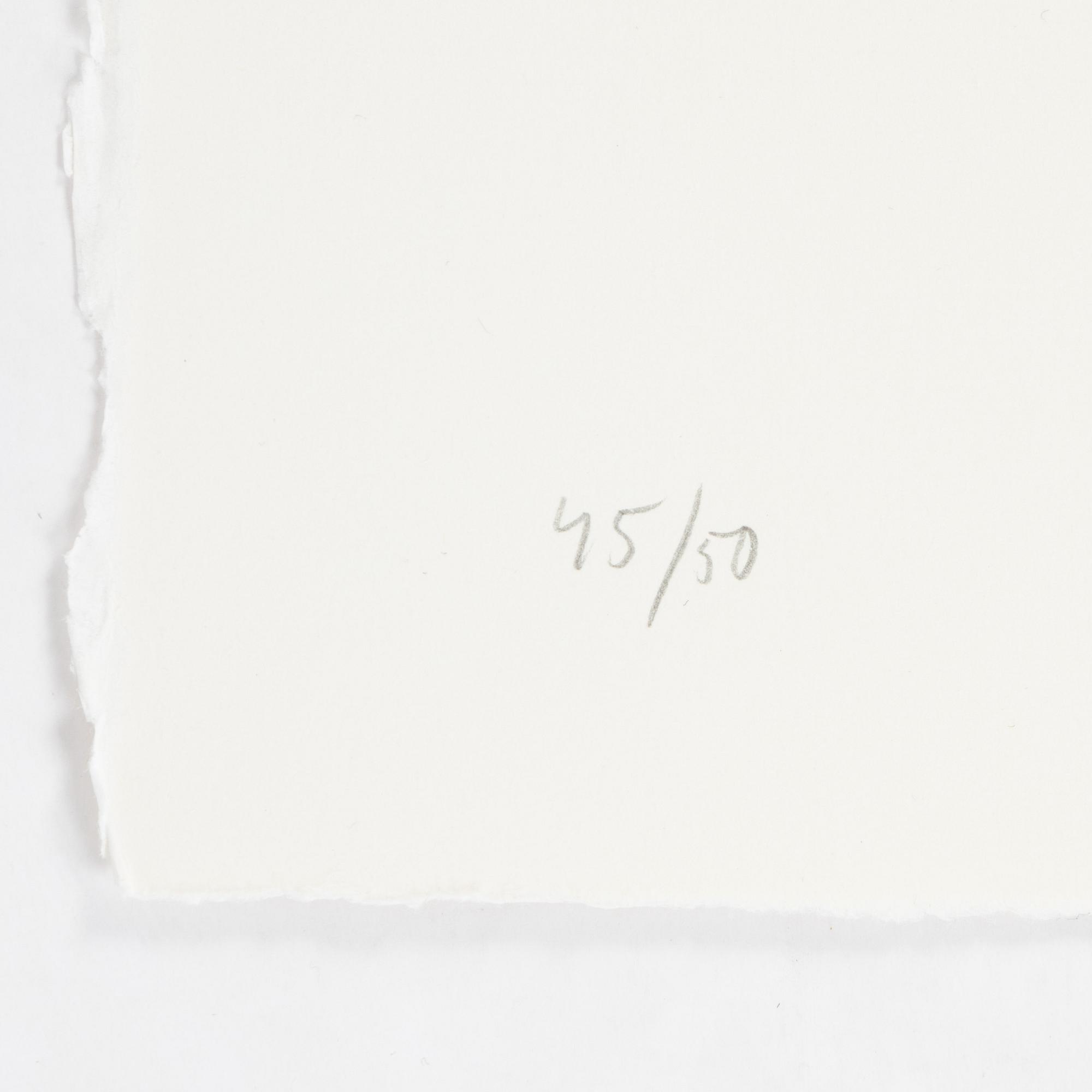 Jan Håfström, färgetsning, 2020, signerad 45/50.