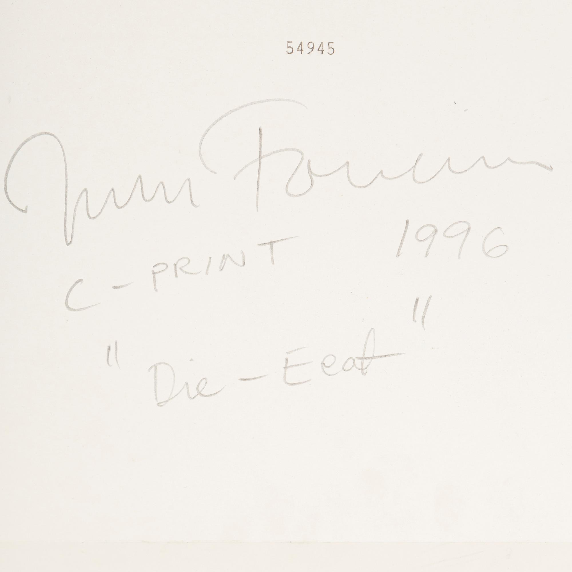 JOHAN FOWELIN, c-print, signed and dated 1996 verso.