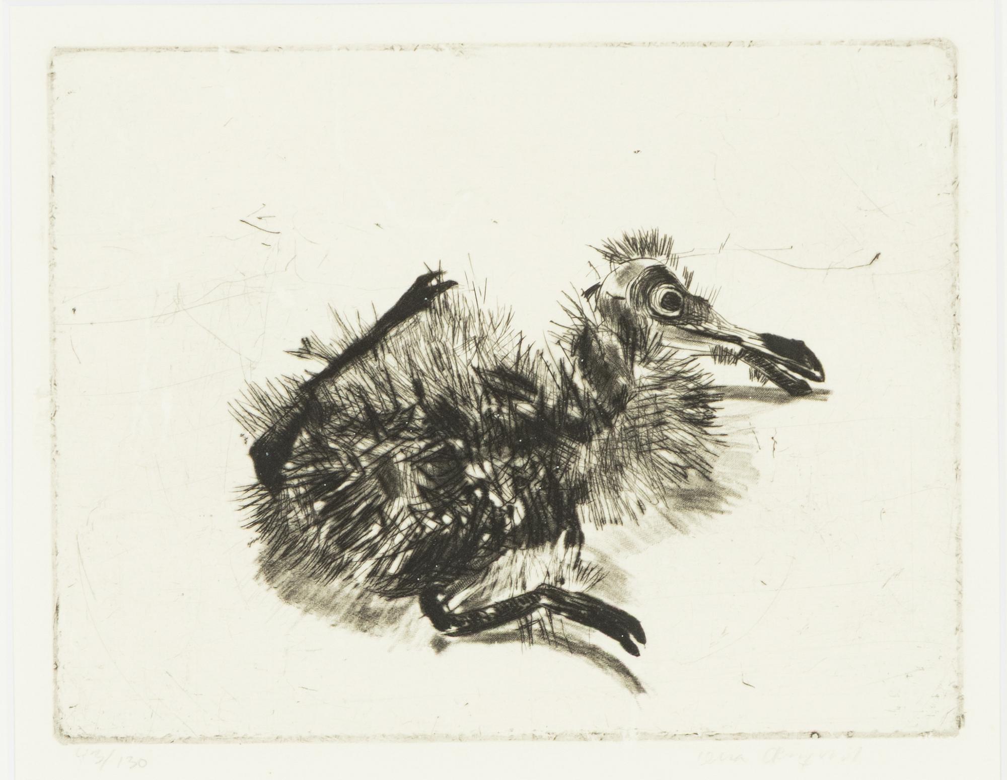 Lena Cronqvist, "Måsunge".