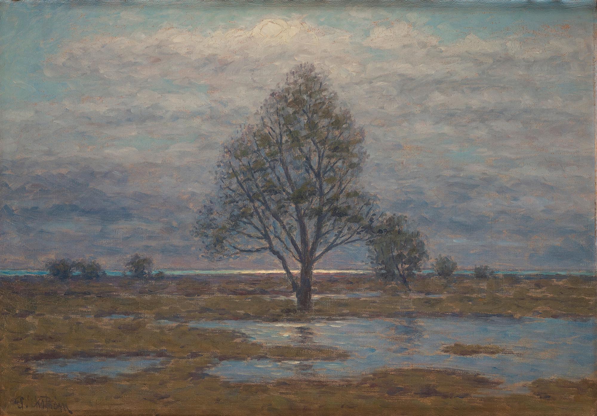 Per Ekström, Landscape in Haze.