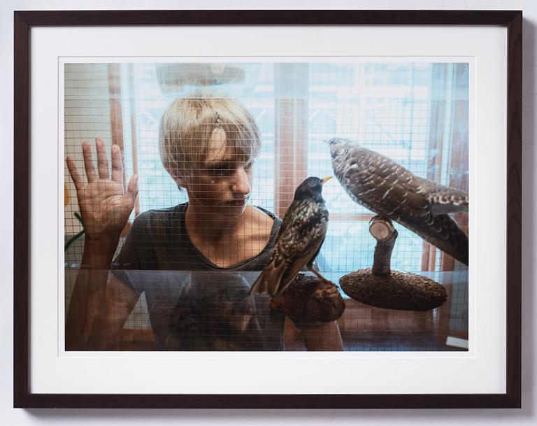 Andreas Dahl, "Tre fåglar", 2016.