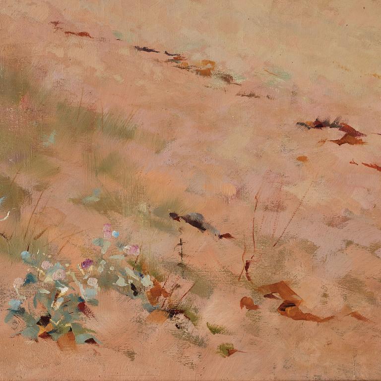 Frederick Hall, Engelsk kustvy.