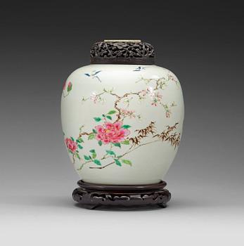 A famille rose jar, Qing dynasty 18th century.