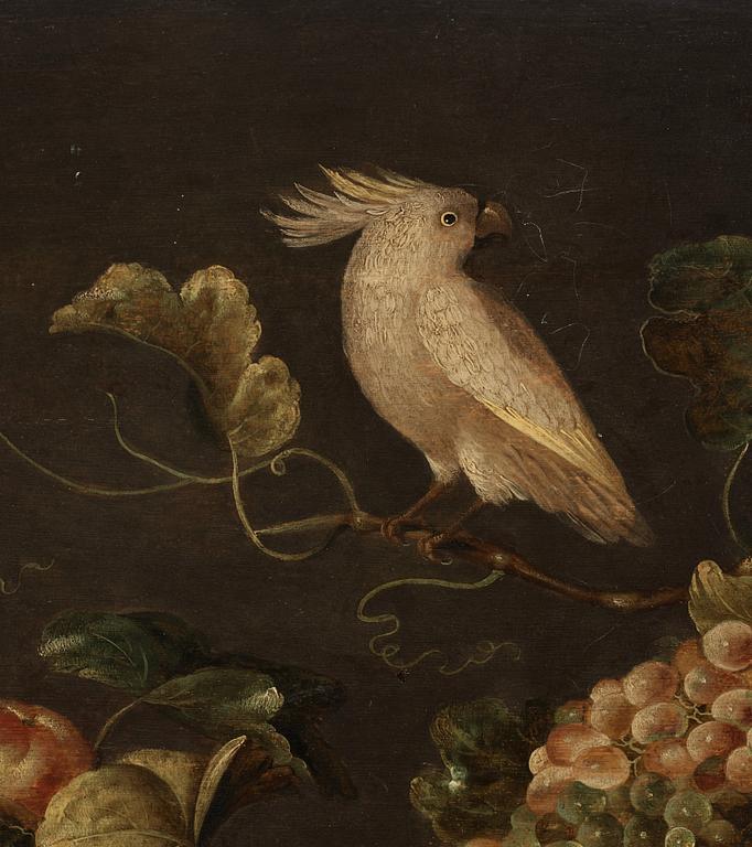 Monogramisten C. DH, Still life with fruits and a white parrot.