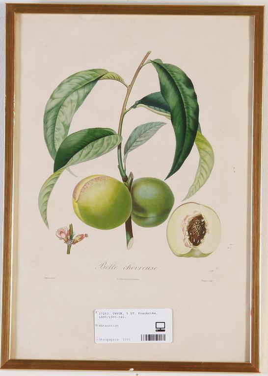 TRYCK, 5 ST. Frankrike, 1800/1900-tal.
