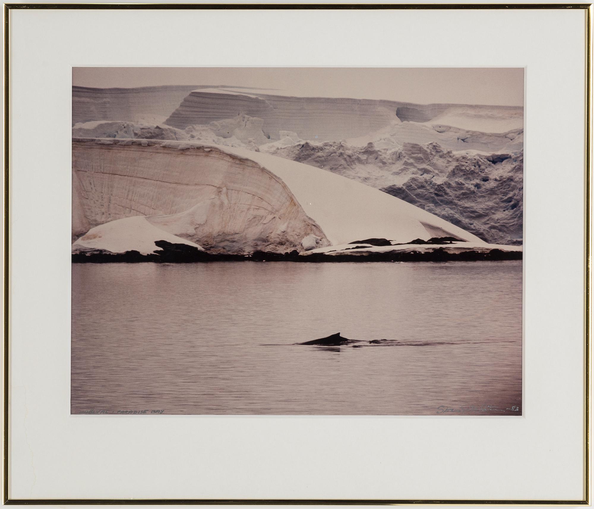 SVEN GILLSÄTER, fotografier, tre stycken. Signerade och daterade.