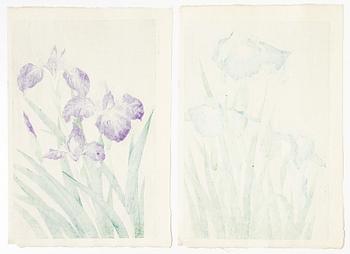 Kawarazaki Shodo, efter, Två träsnitt, "Irisar", 1900-talets andra del.