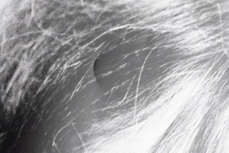 Ewa Rudling, "Patti Smith".