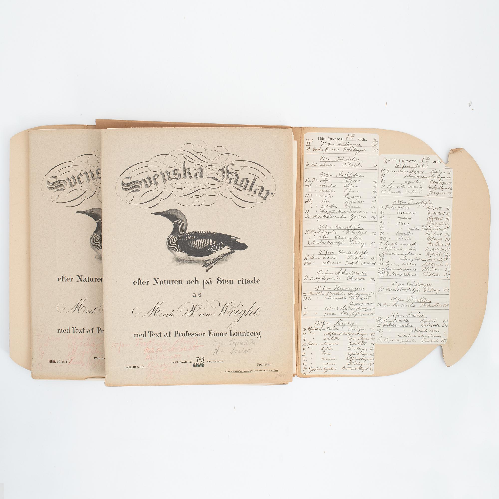 Bröderna von Wright, planschverk, "Svenska Fåglar", Ivar Baarsens förlag, Stockholm, 1920-tal.