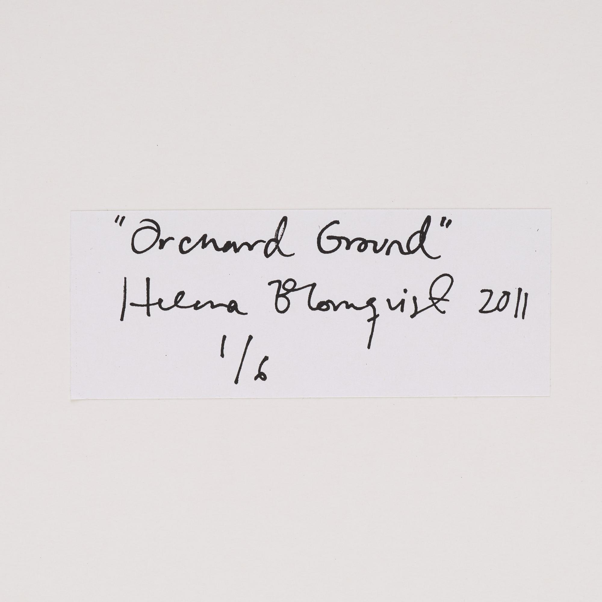 Helena Blomqvist, "Orchard Ground", 2011.