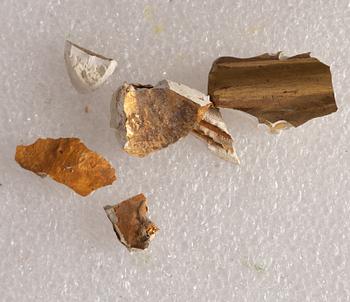 Ingrid Ehrenborg, Model study.