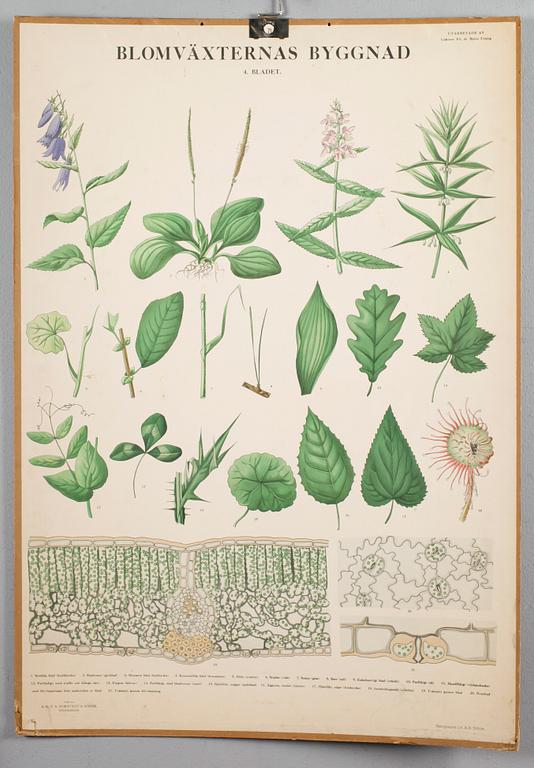SKOLPLANSCHER, 4 st, 1900-talets mitt.