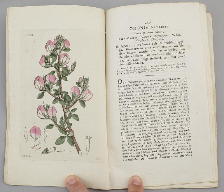 JOHAN WILHELM PALMSTRUCH, "Svensk Botanik, vol I-V. 1803-1805.
